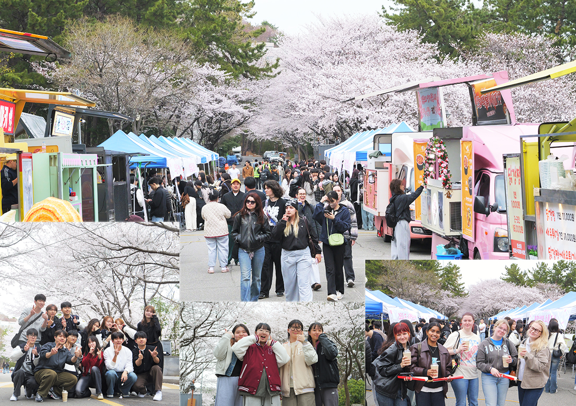 '[총학생회·본부·생협] 부산대 첫 「벚꽃축제」 '만개''