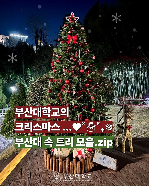 '[PNU_대학생활] 부산대 속 트리 모음.zip'