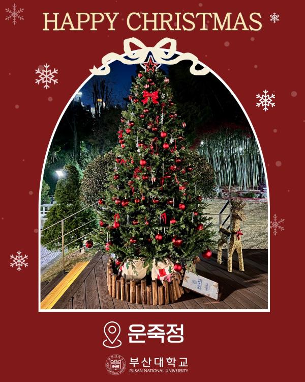 '[PNU_대학생활] 부산대 속 트리 모음.zip'
