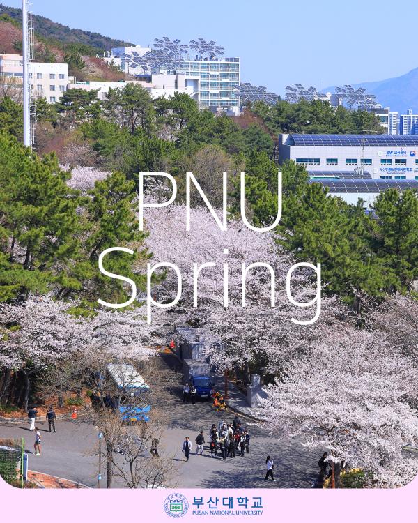 '[PNU_PHOTO] 벛꽃 캠퍼스'