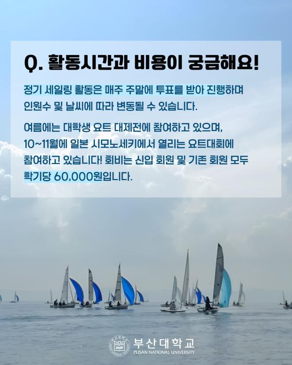 '[PNU_동아리] The Blue를 소개합니다!'
