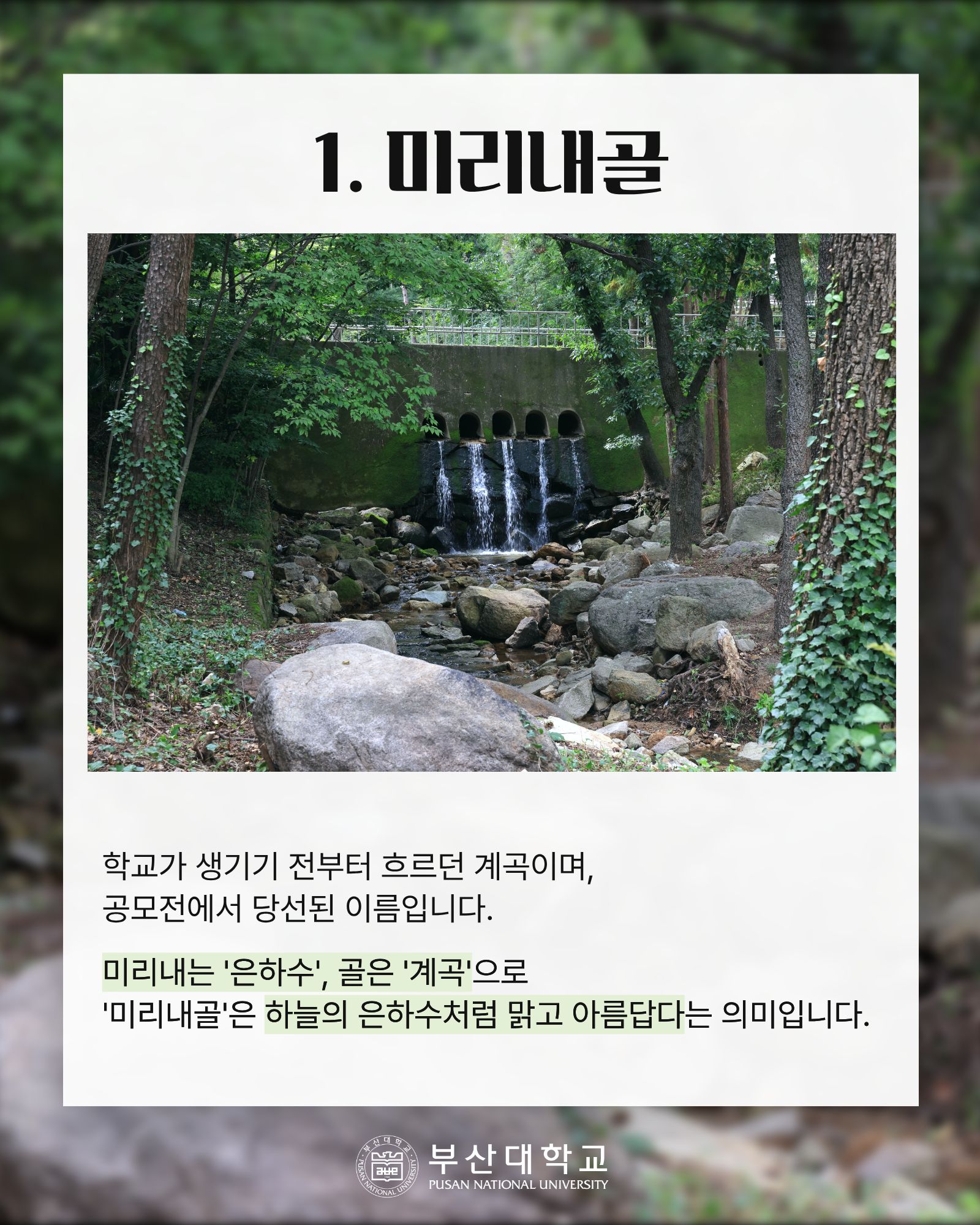 '[PNU_대학생활] 캠퍼스 장소 이름의 유래' 첨부파일 이미지, 상세내용은 아래내용 참고