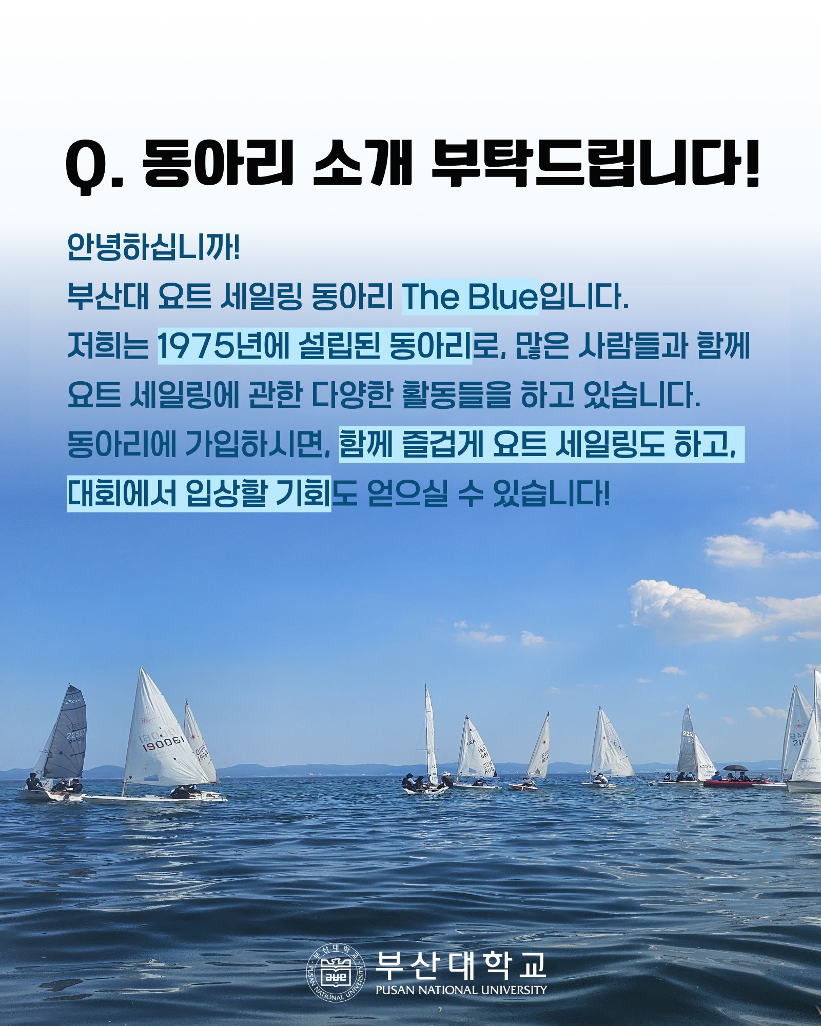 '[PNU_동아리] The Blue를 소개합니다!' 첨부파일 이미지, 상세내용은 아래내용 참고