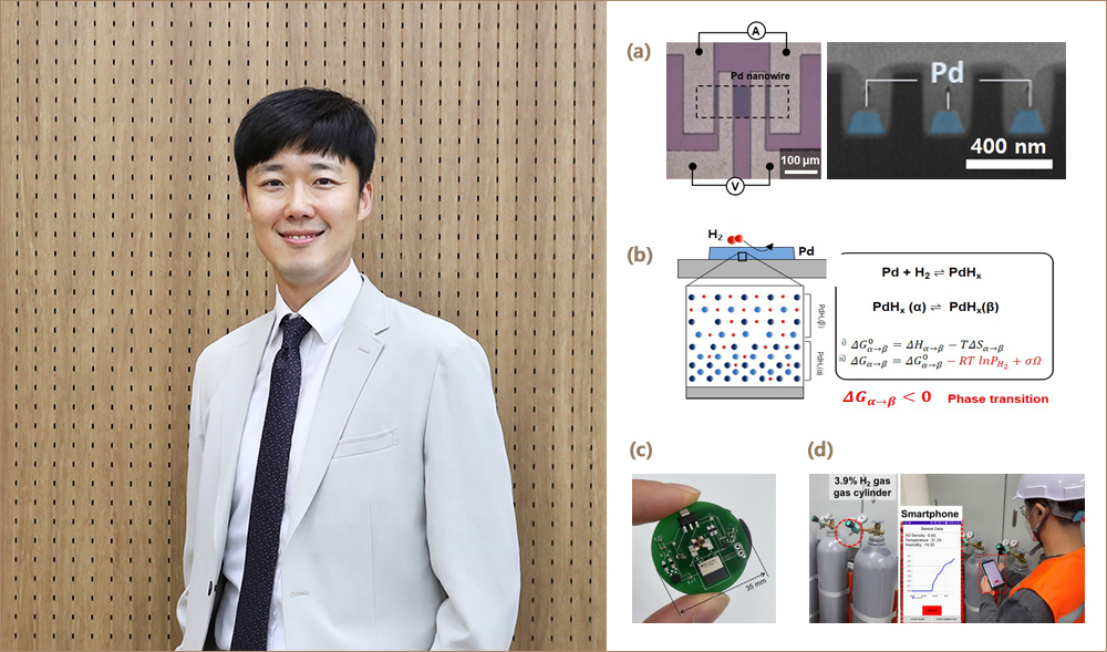 'Wireless and Linear Hydrogen Detection up to 4% with High Sensitivity through Phase-Transition-Inhibited Pd Nanowires'