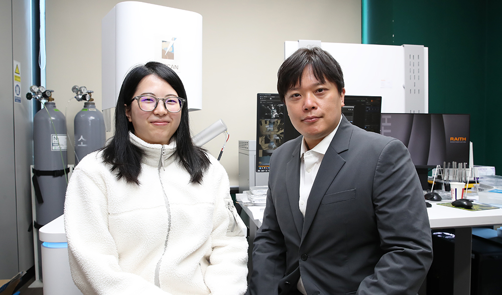 OCT-based quantitative analysis of craquelure morphology in an oil painting