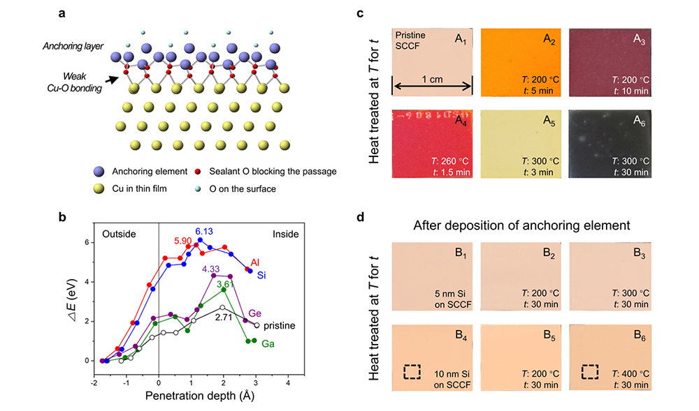 'An impermeable copper surface monolayer with high-temperature oxidation resistance'
