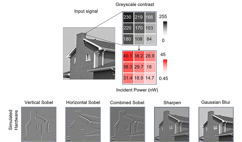 'Van der Waals integration of 1D Nb2Pd3Se8 and 2D WSe2 for gate-tunable in-sensor imaging processing'