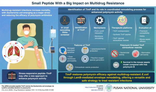 'Beyond Antibiotics—A Paradigm Shift Toward Bacteria-Control-Centric Therapies'의 첨부파일 이미지