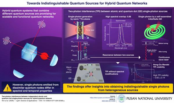 'Researchers Develop a Hybrid Quantum Network with Indistinguishable Quantum Sources'의 첨부파일 이미지
