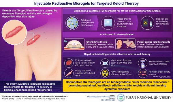 'Injectable Radioactive Microgels for Targeted Keloid Therapy'의 첨부파일 이미지